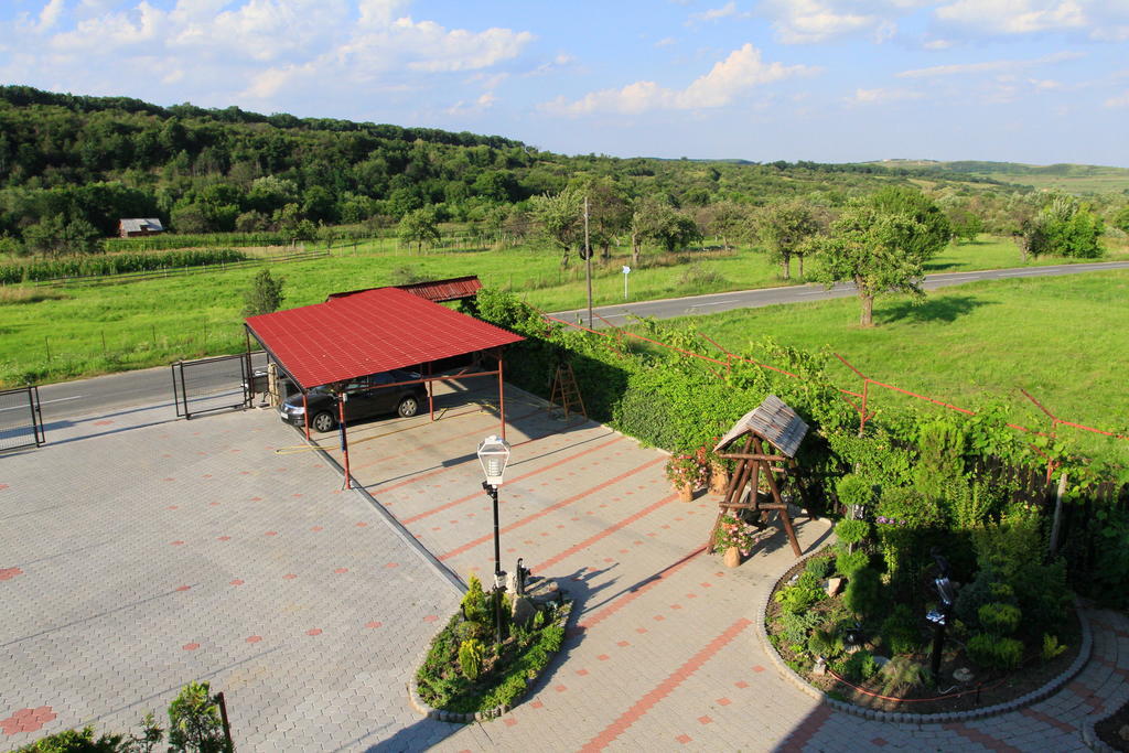 Pensiunea Casa Elena Agnita Exterior foto